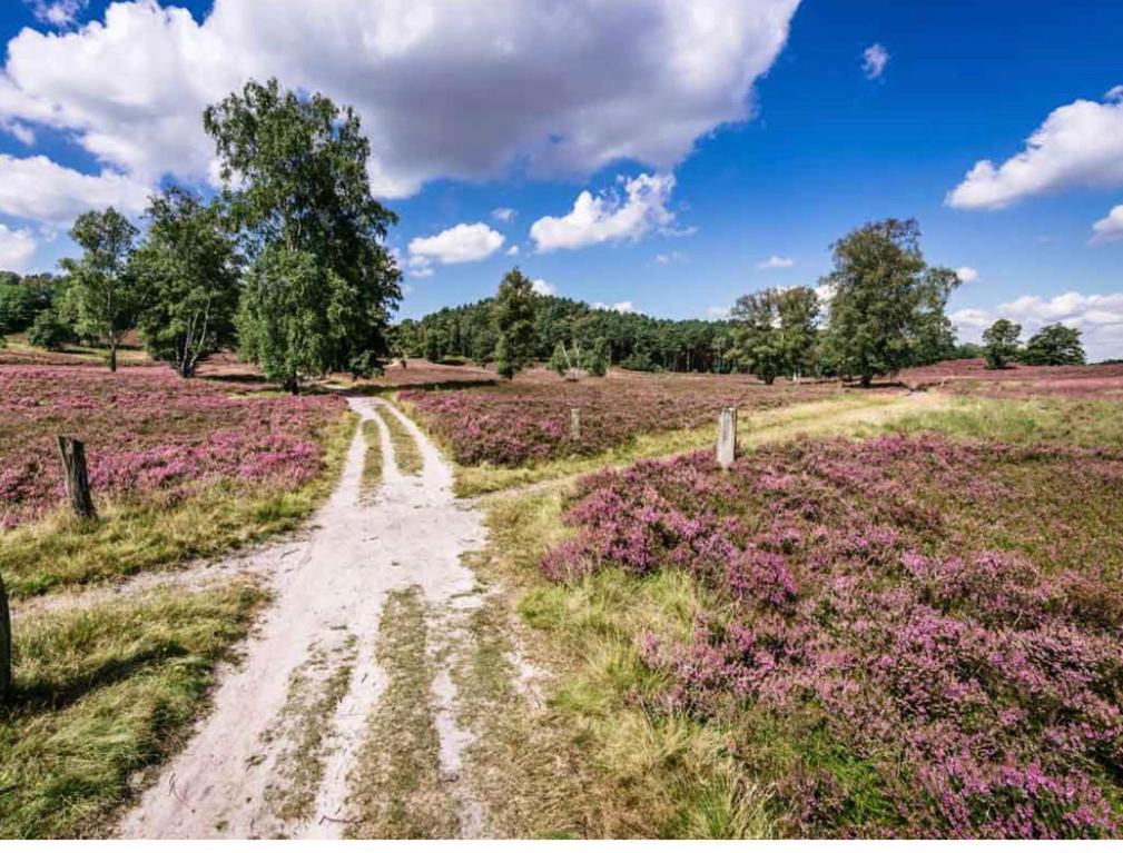 Feelslikehome - Reihenhaus Zwischen Hamburg Und Heide Mit Garten&Garage Neu Wulmstorf Exterior foto